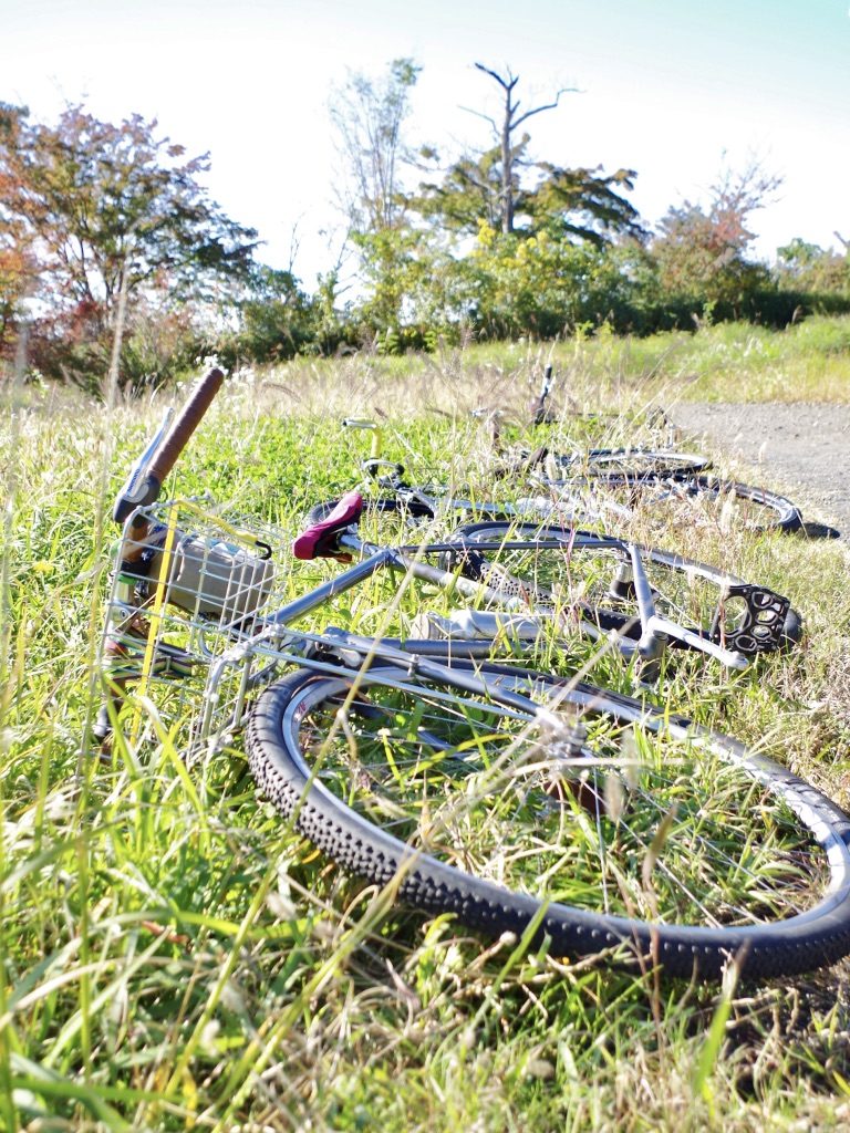 武蔵野市　自転車屋　三鷹　ミニベロ　クロスバイク　ピストバイク　クロモリ　ロードバイク
